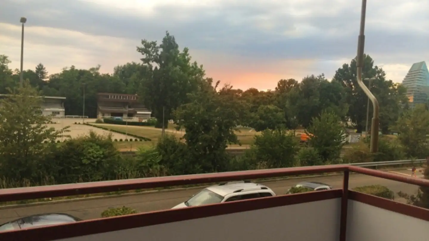 Wohnung mieten - Birsstrasse 9, 4132 Muttenz - Foto 4