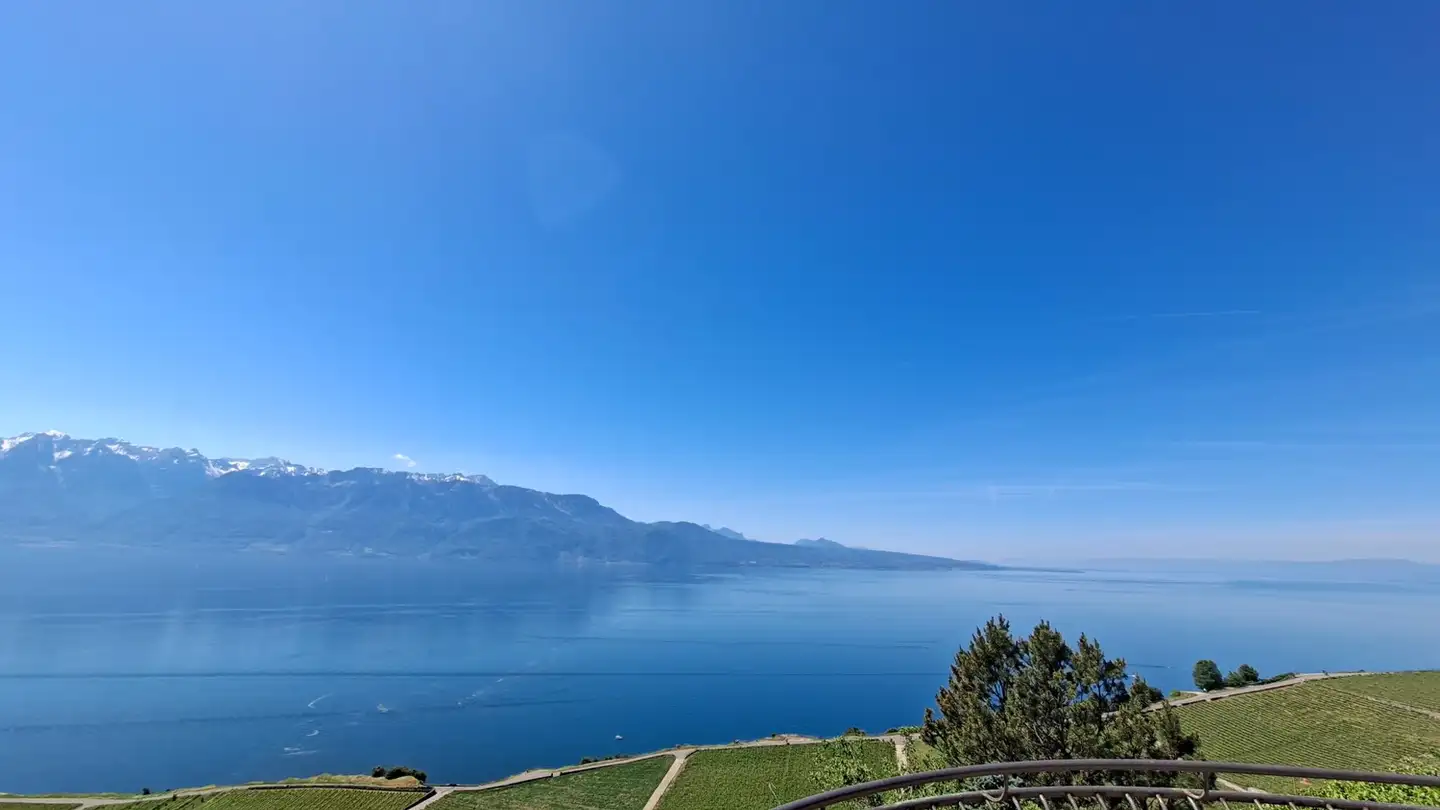 Appartamento in affitto - 1071 St-Saphorin (Lavaux)