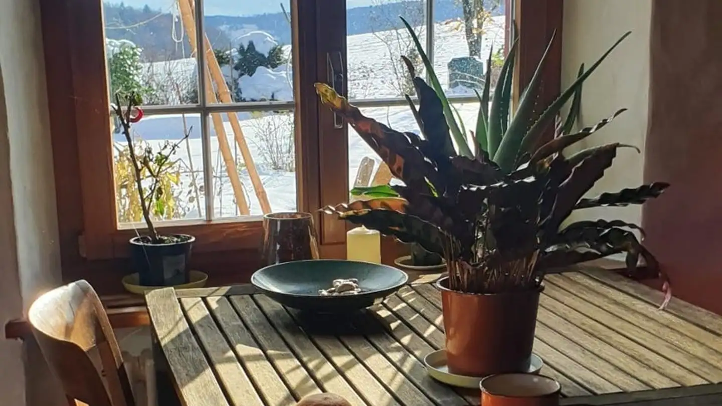 Zimmer mieten - Burghofstrasse, 8157 Dielsdorf - Foto 4