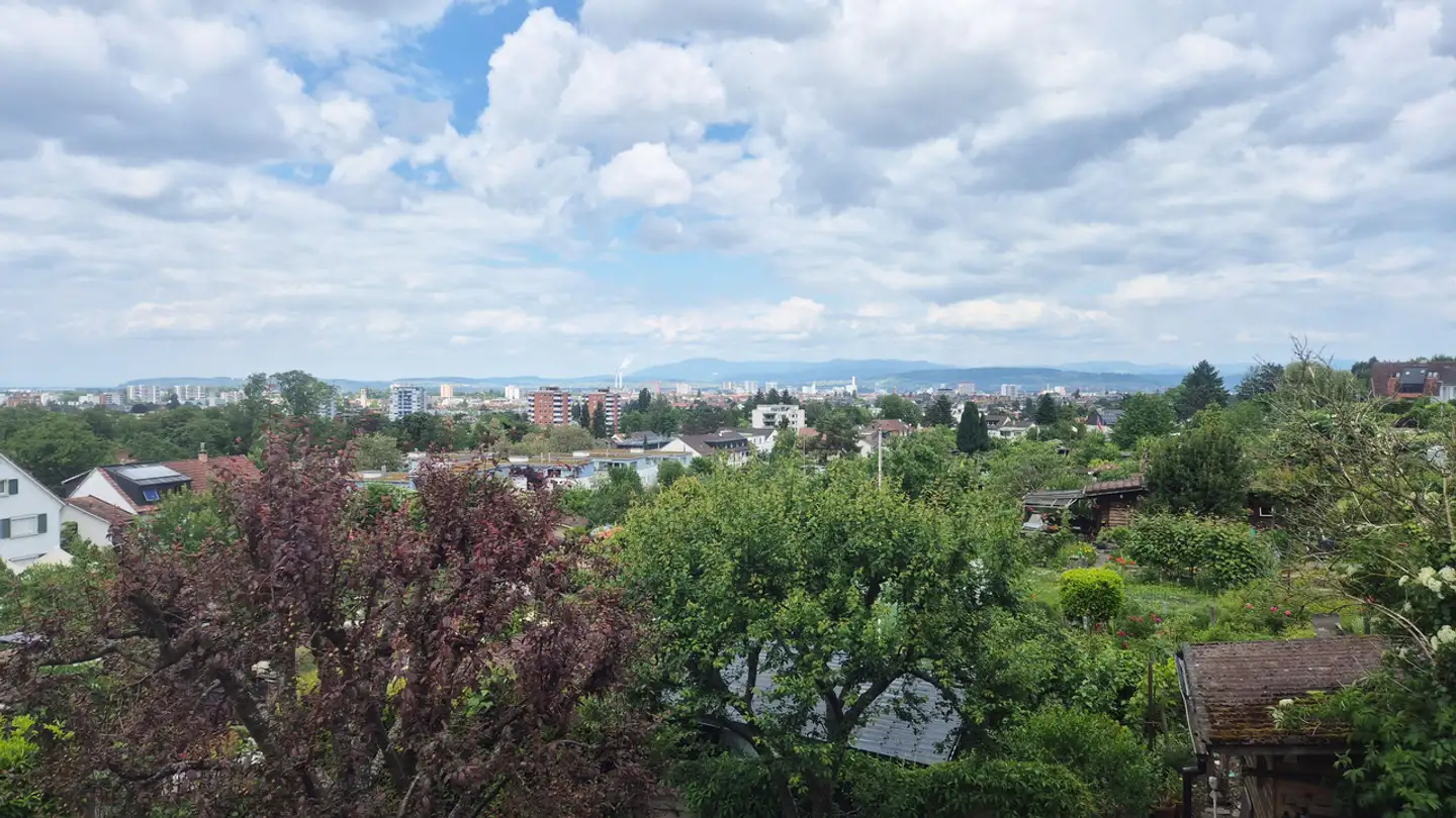 Appartamento in vendita - Holeeholzweg 54, 4102 Binningen