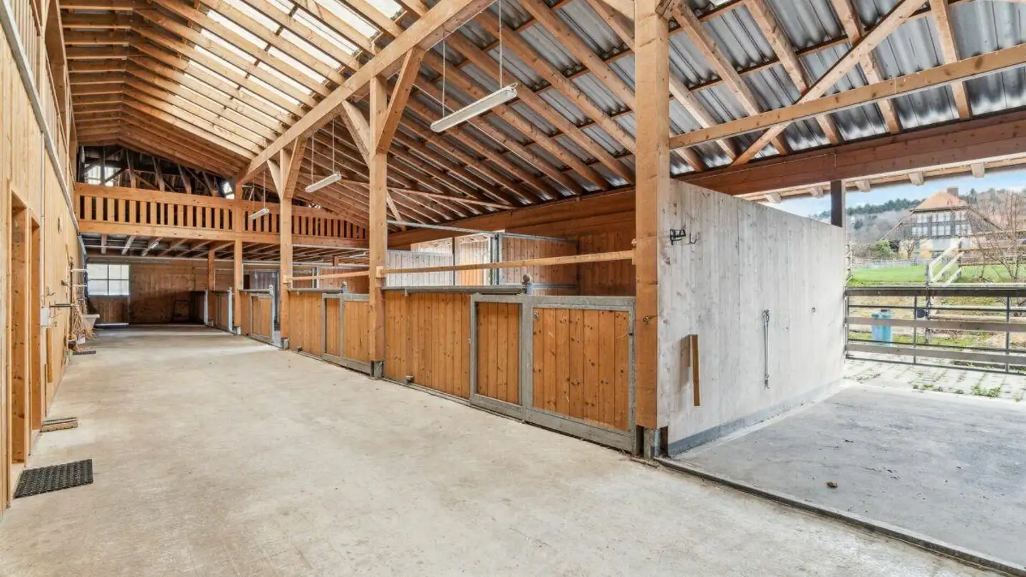 Manège à vendre - Dorfstrasse 50, 3365 Seeberg