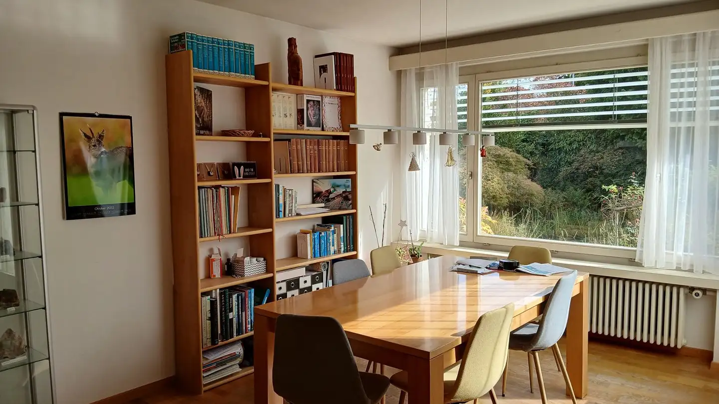 Furnished apartment for rent - 8640 Rapperswil SG