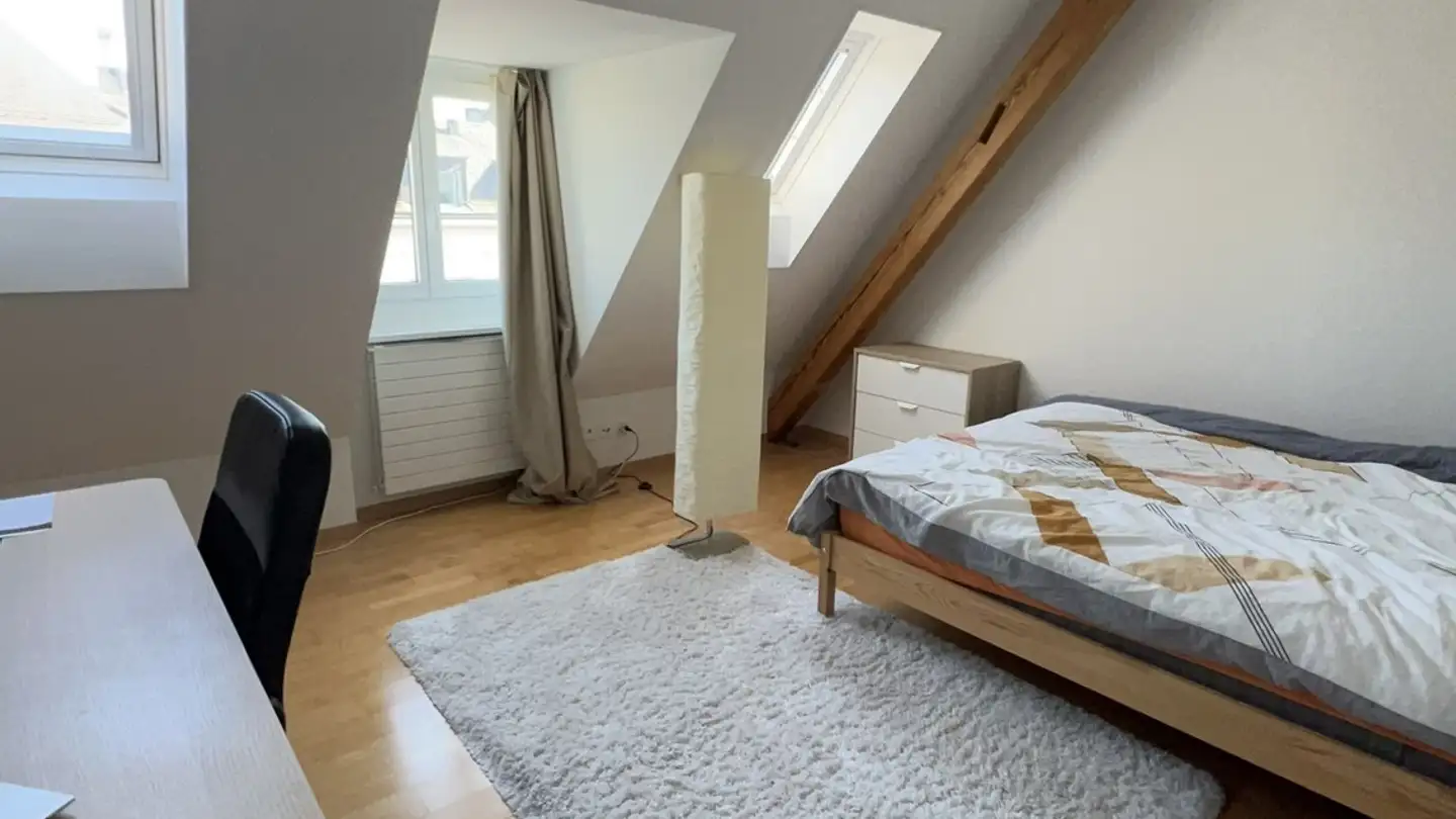 Single room for rent - Zurlindenstrasse 59, 8003 Zürich
