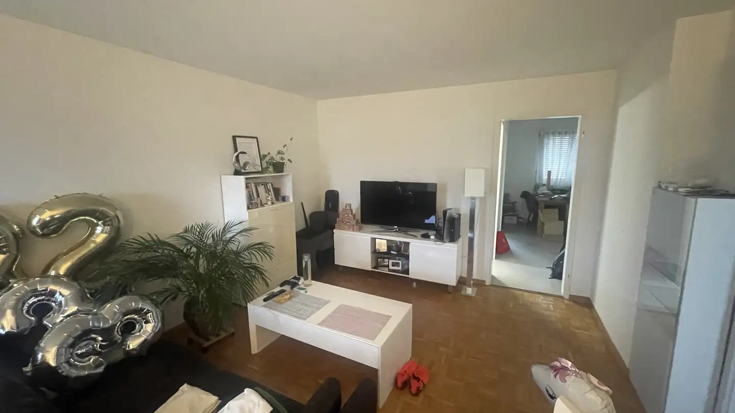 Apartment for rent - 8102 Oberengstringen