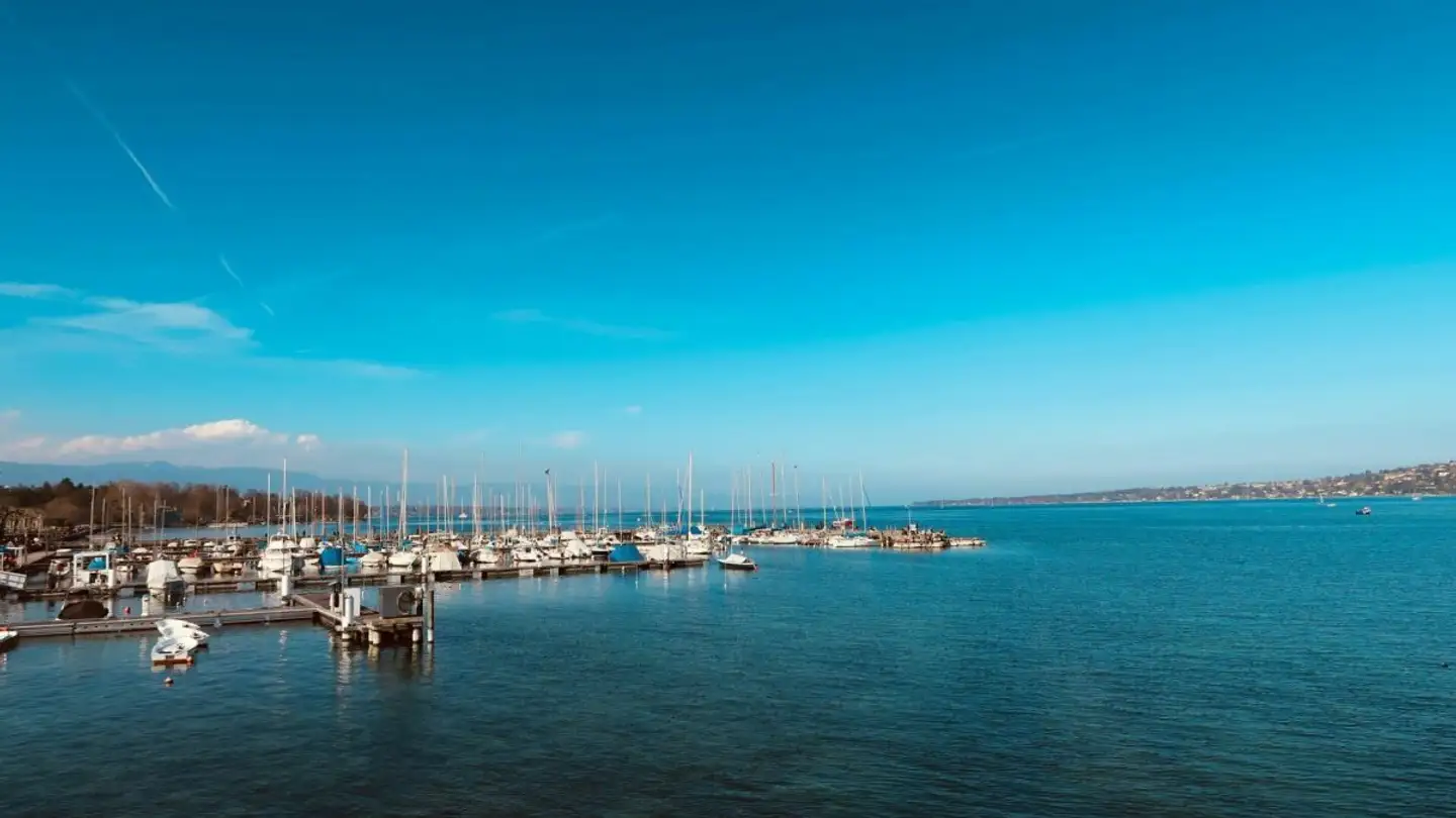 Appartamento in affitto - 1290 Versoix