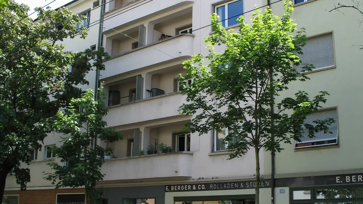 Stepped apartment for rent - Allschwilerstrasse 103, 4055 Basel