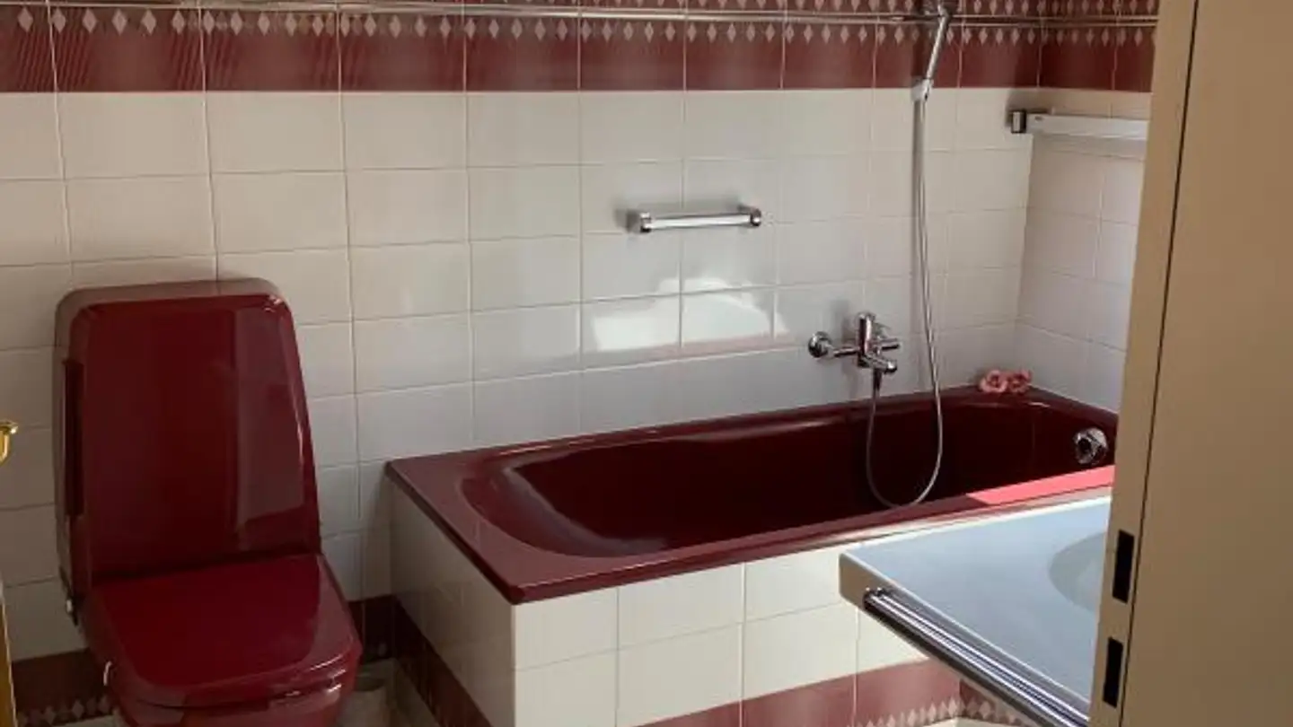 Duplex in affitto - Breitenbachstrasse 21, 4227 Büsserach - Photo 3