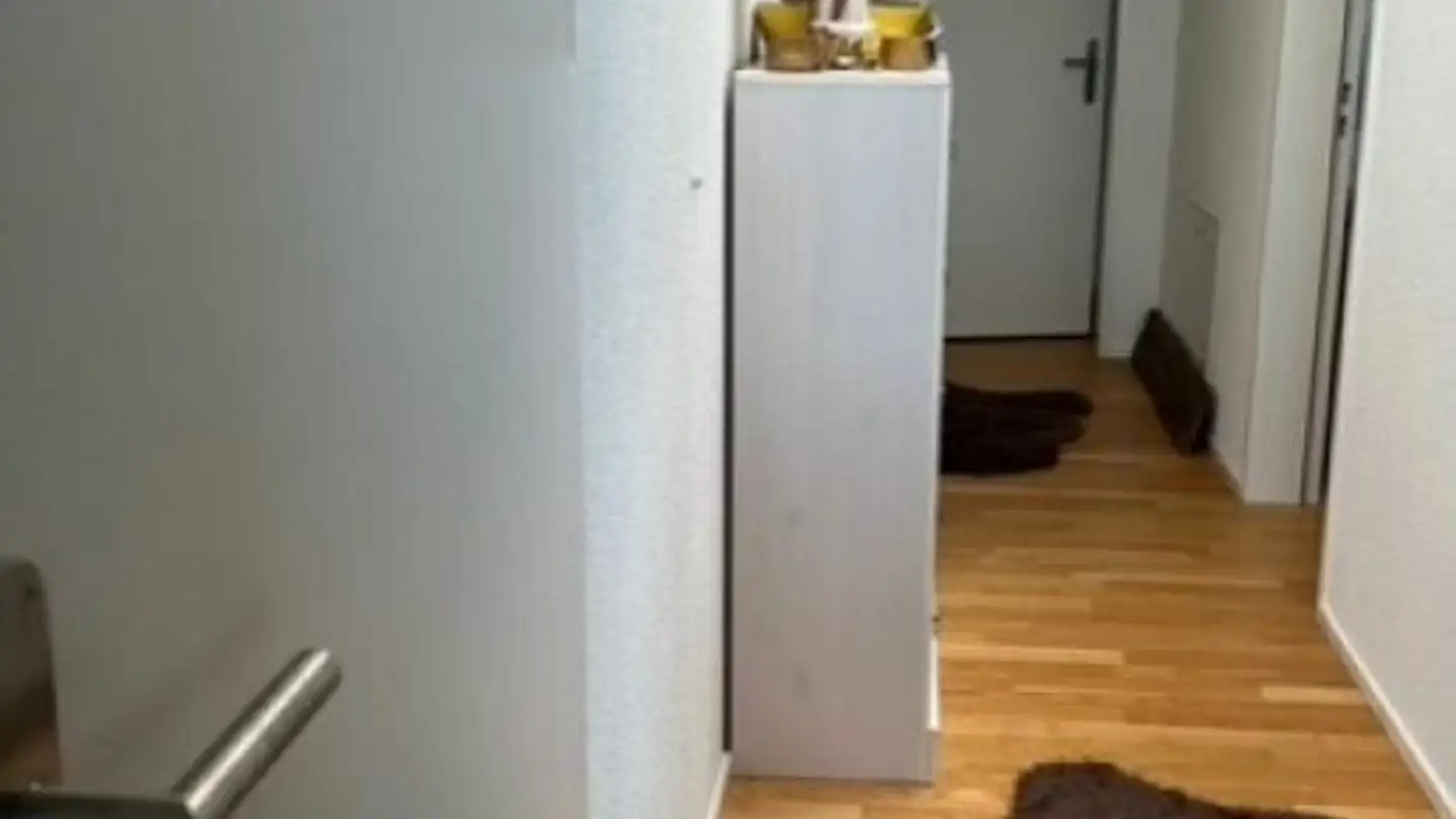 Attic flat for rent - Scheidweg, 8596 Scherzingen - Photo 2