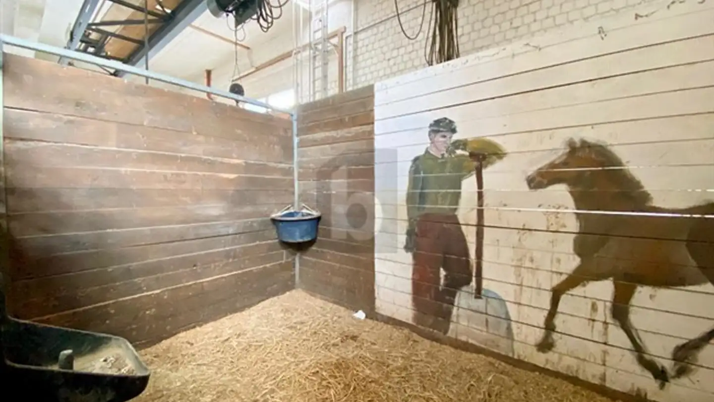 Apartment for sale - 7166 Trun - Photo 4