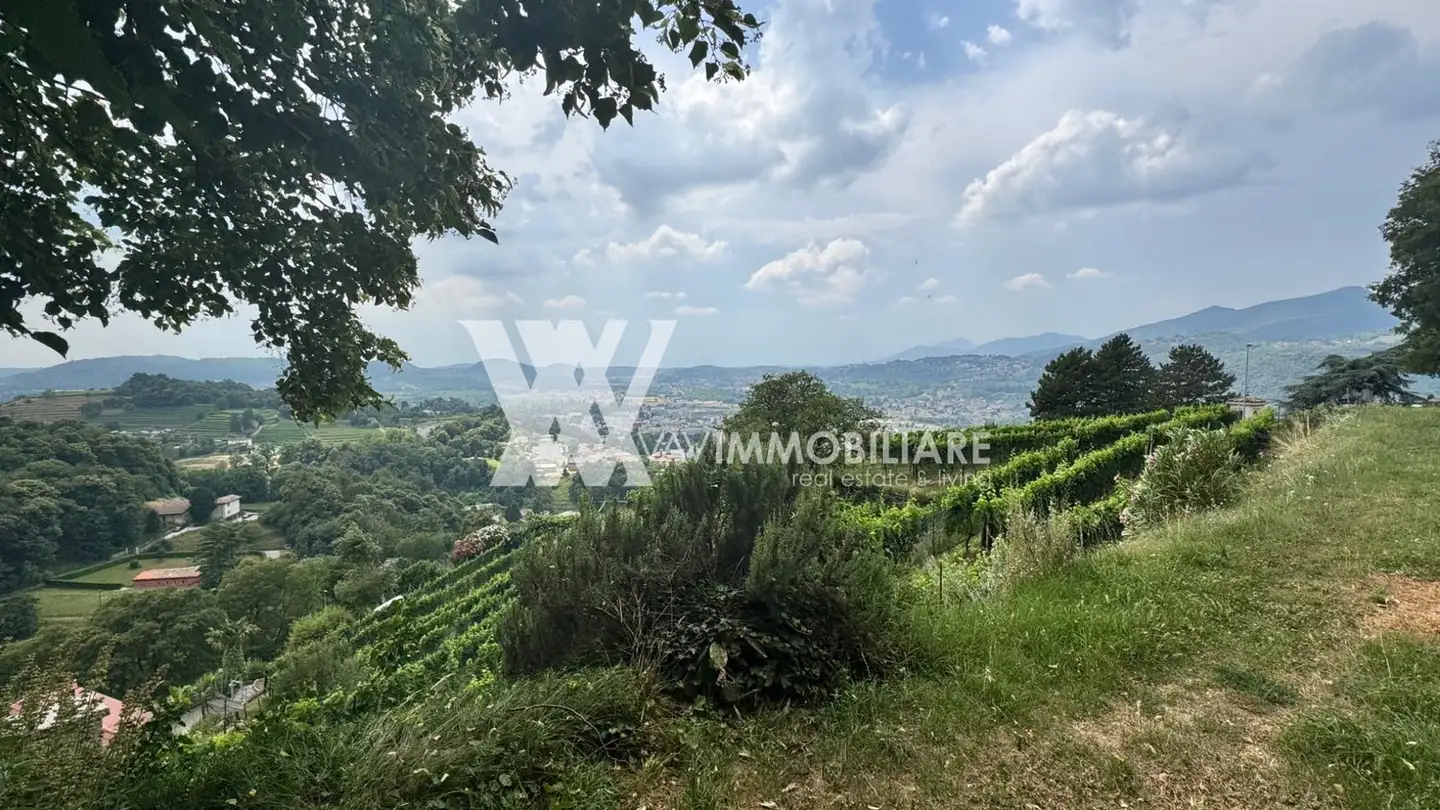 Maison individuelle à vendre - 6850 Mendrisio - Photo 3