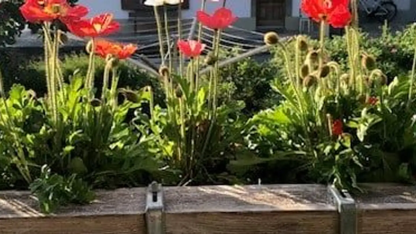 Maison individuelle à louer - Oberdorfstrasse 20, 3054 Schüpfen