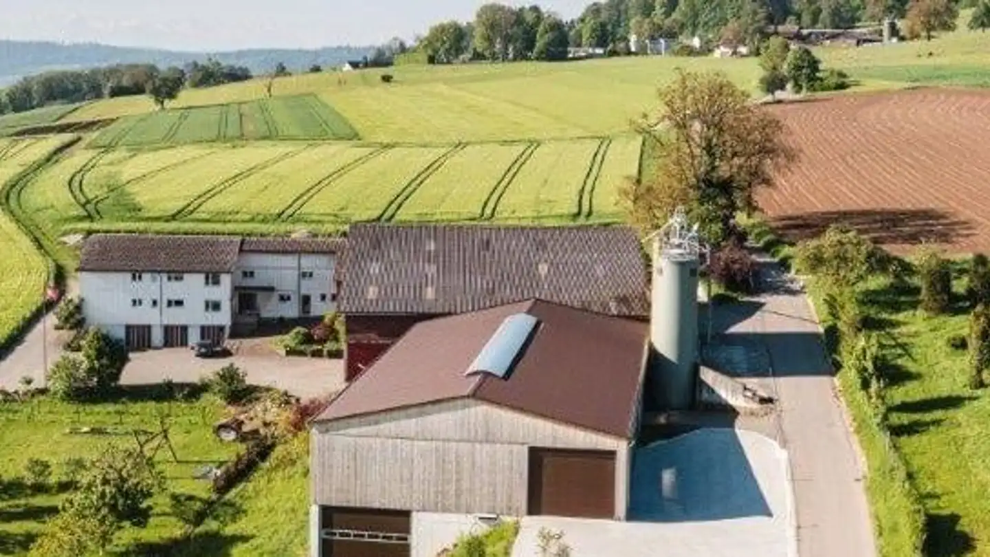 Appartement à louer - Bergstrasse 21, 8157 Dielsdorf - Photo 2