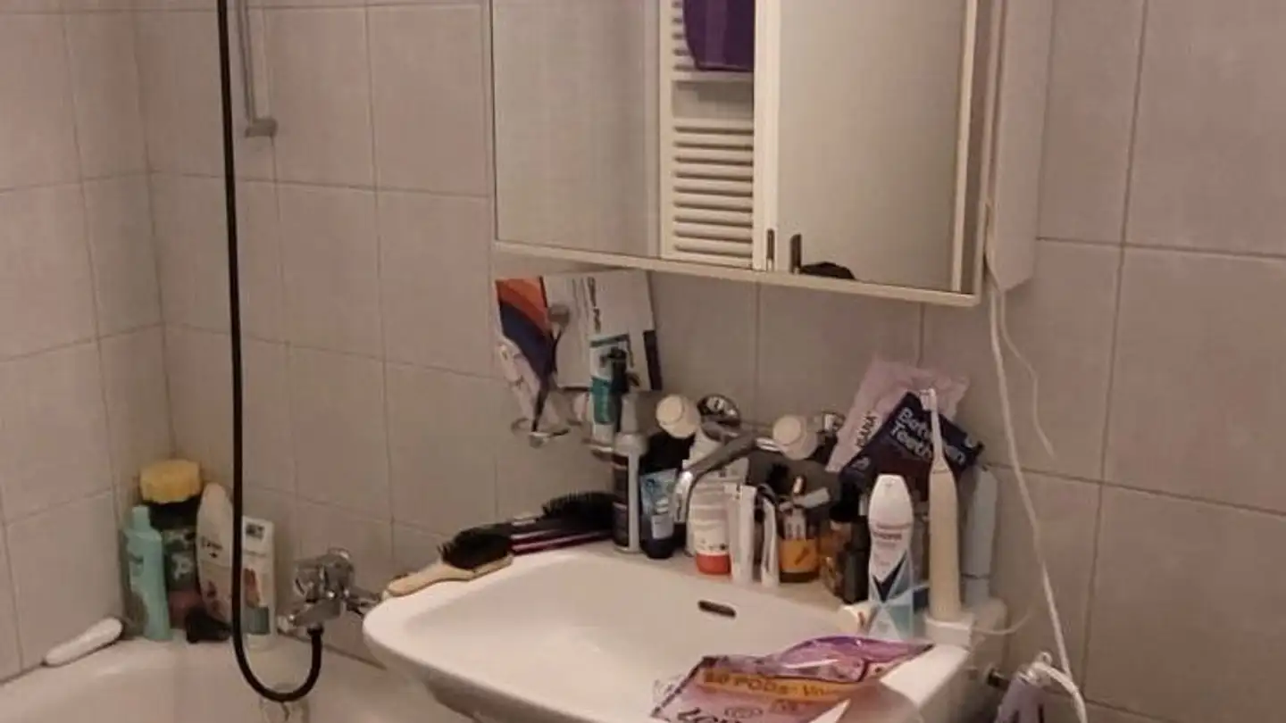 Appartamento in affitto - Gupfenstrasse 24, 8308 Illnau - Foto 3