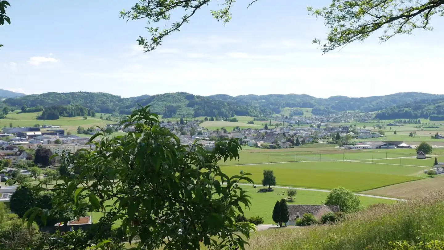 Dachgeschosswohnung mieten - Säntisblick 10, 8360 Eschlikon TG