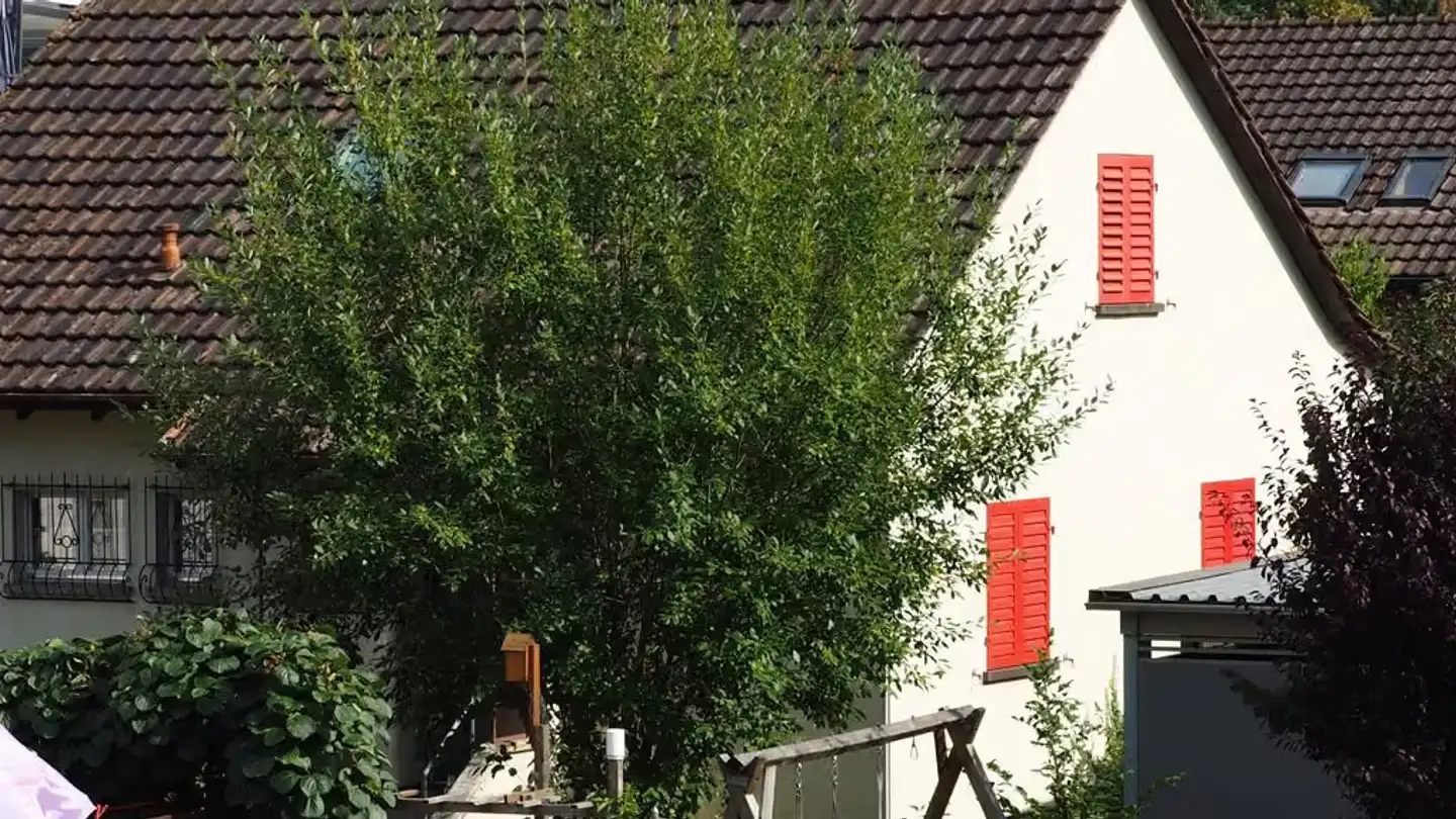 Single house for sale - Bruneggstrasse 3, 5210 Windisch