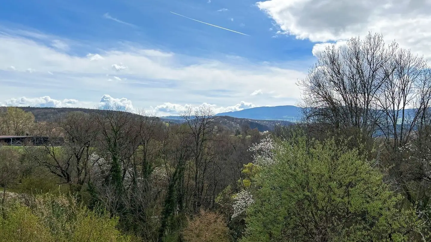 Apartment for rent - Chemin Des Carrés 30, 1284 Chancy - Photo 2