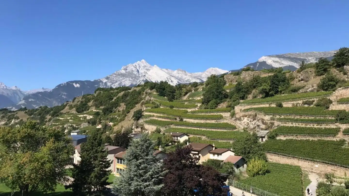 Appartement à vendre - Avenue Maurice-Troillet, 1950 Sion