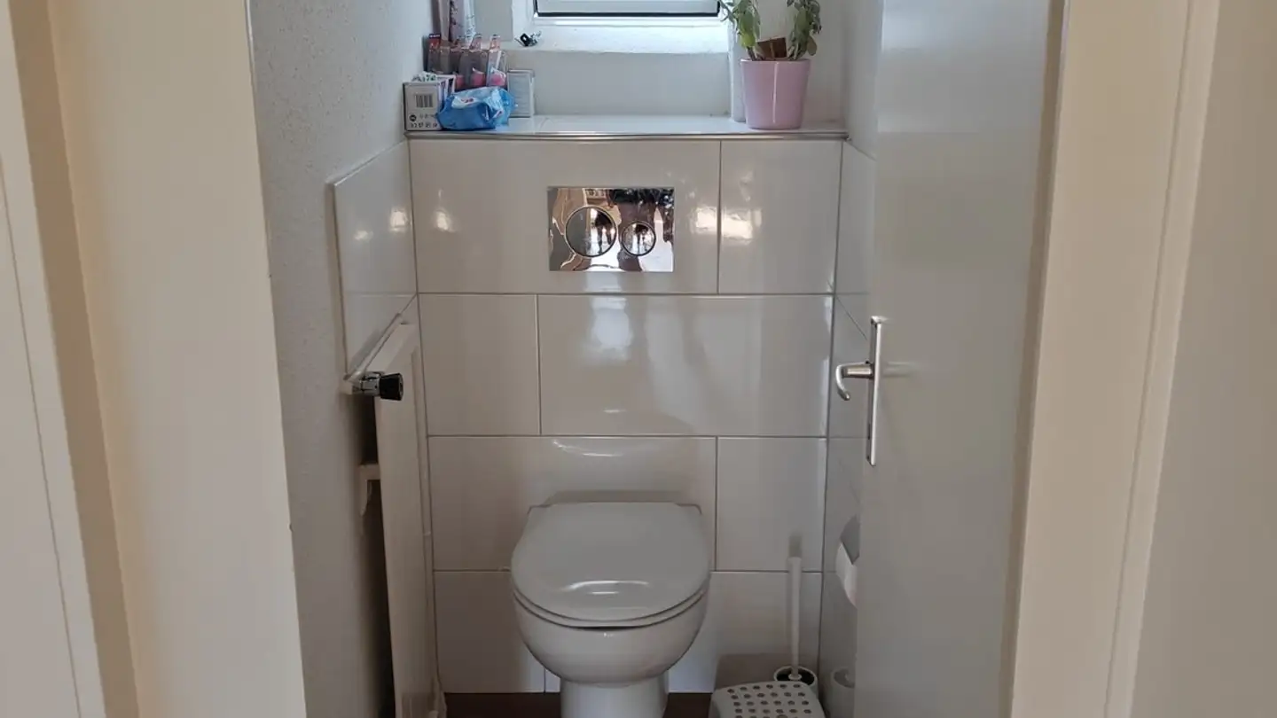 Wohnung mieten - Goldbrunnenstrasse 115, 8055 Zürich