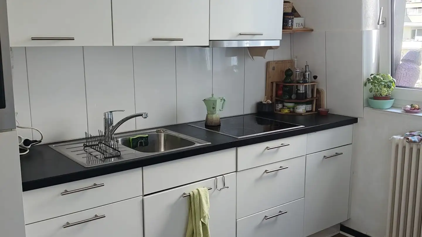 Wohnung mieten - Goldbrunnenstrasse 115, 8055 Zürich - Foto 4