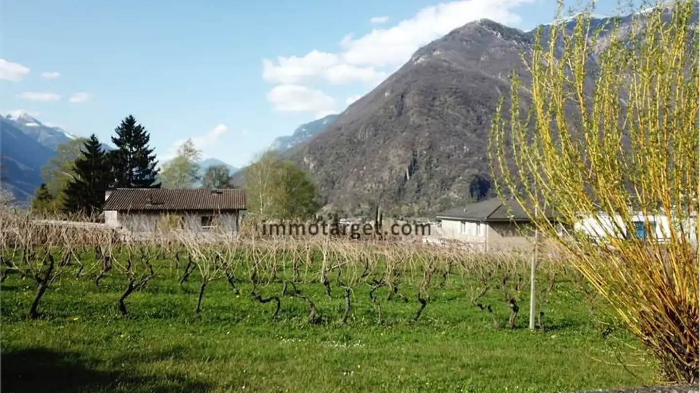 Terrain constructible à vendre - Via Alle Cascine 7, 6517 Arbedo