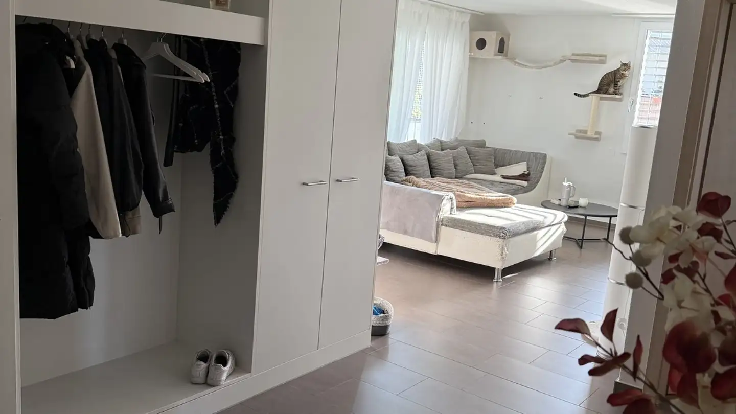 Appartement à louer - Pfründmatt 253, 5318 Mandach