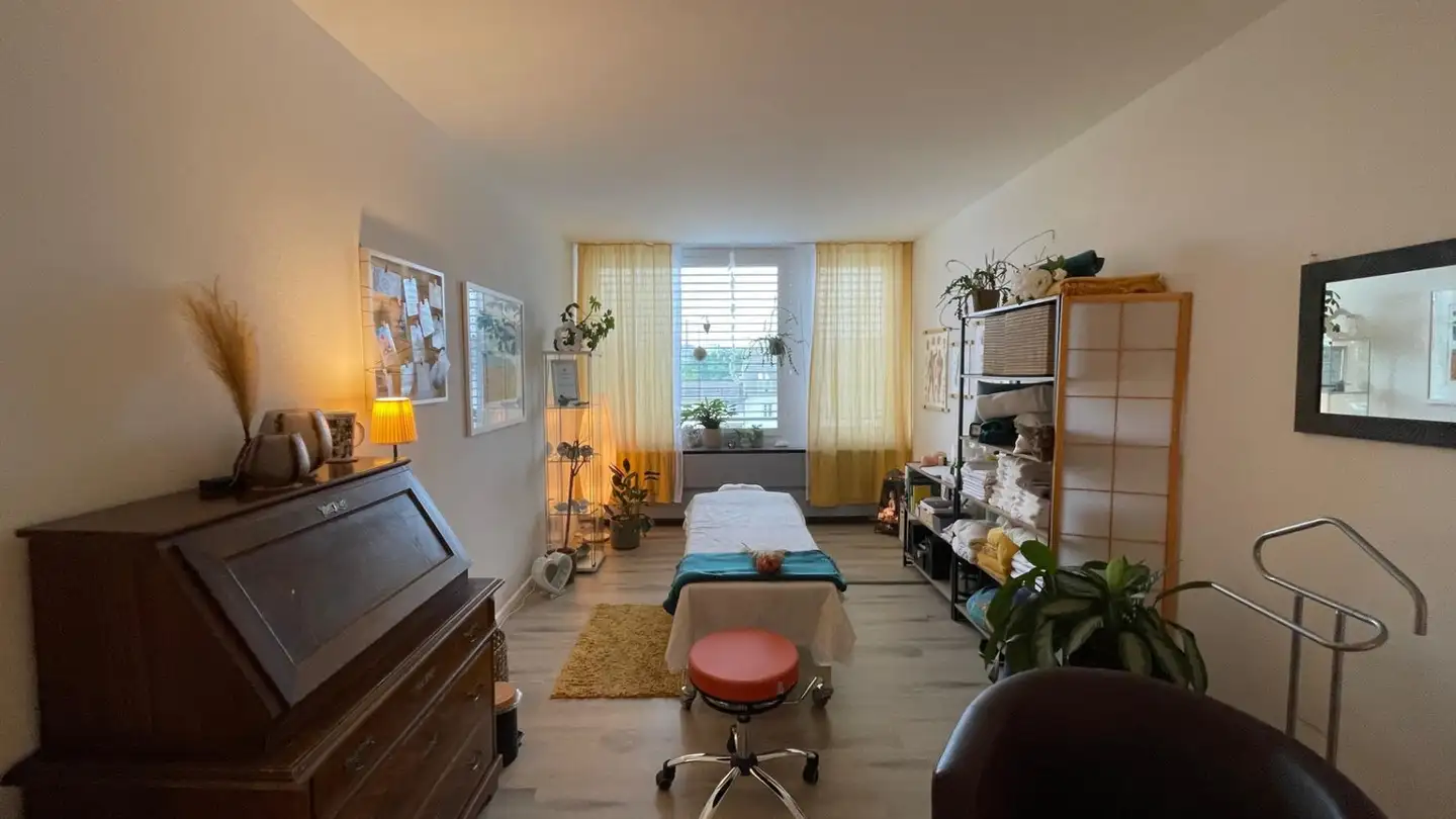 Commercial à louer - Theodorshofweg 22, 4310 Rheinfelden - Photo 2