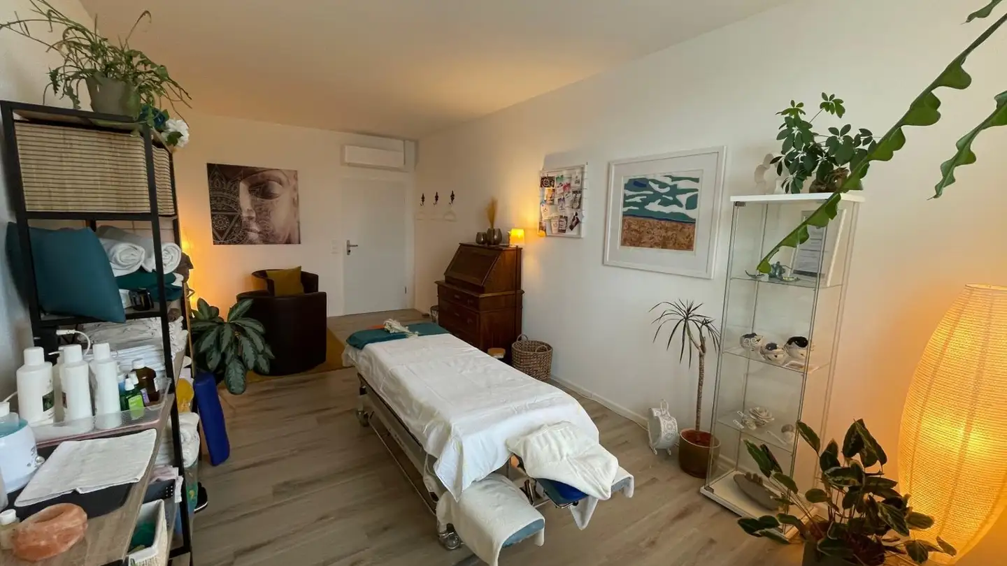 Commercial à louer - Theodorshofweg 22, 4310 Rheinfelden - Photo 4