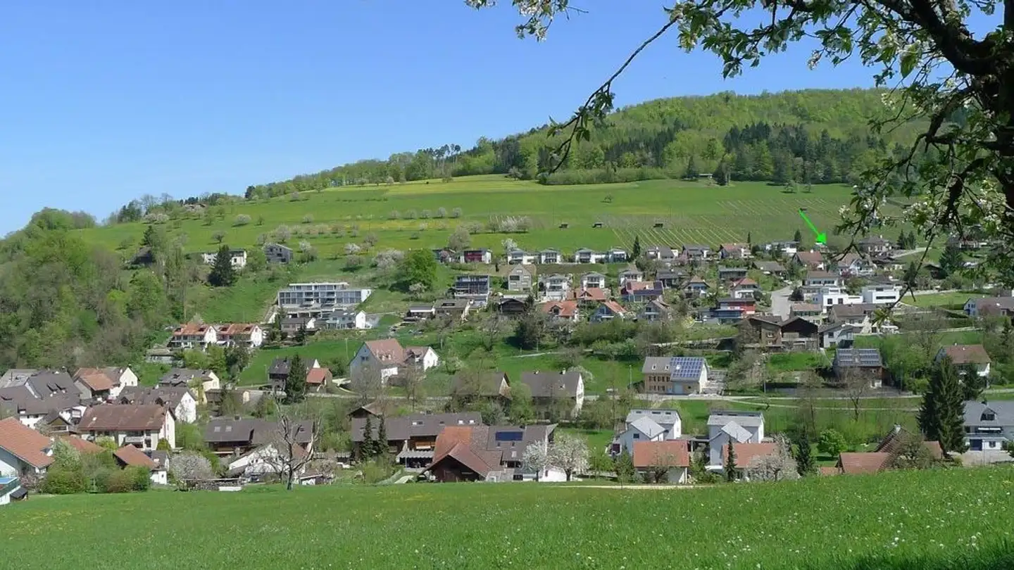 Studio in affitto - Grieshaldenweg 23, 4314 Zeiningen - Foto 2