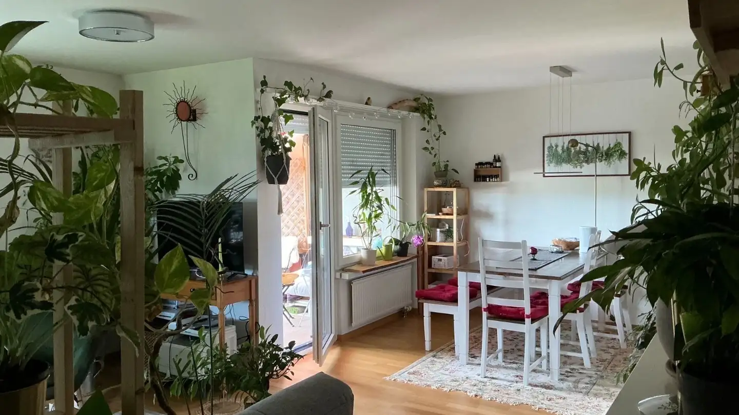 Zimmer mieten - Märzenbühlstrasse 21, 8102 Oberengstringen - Foto 3