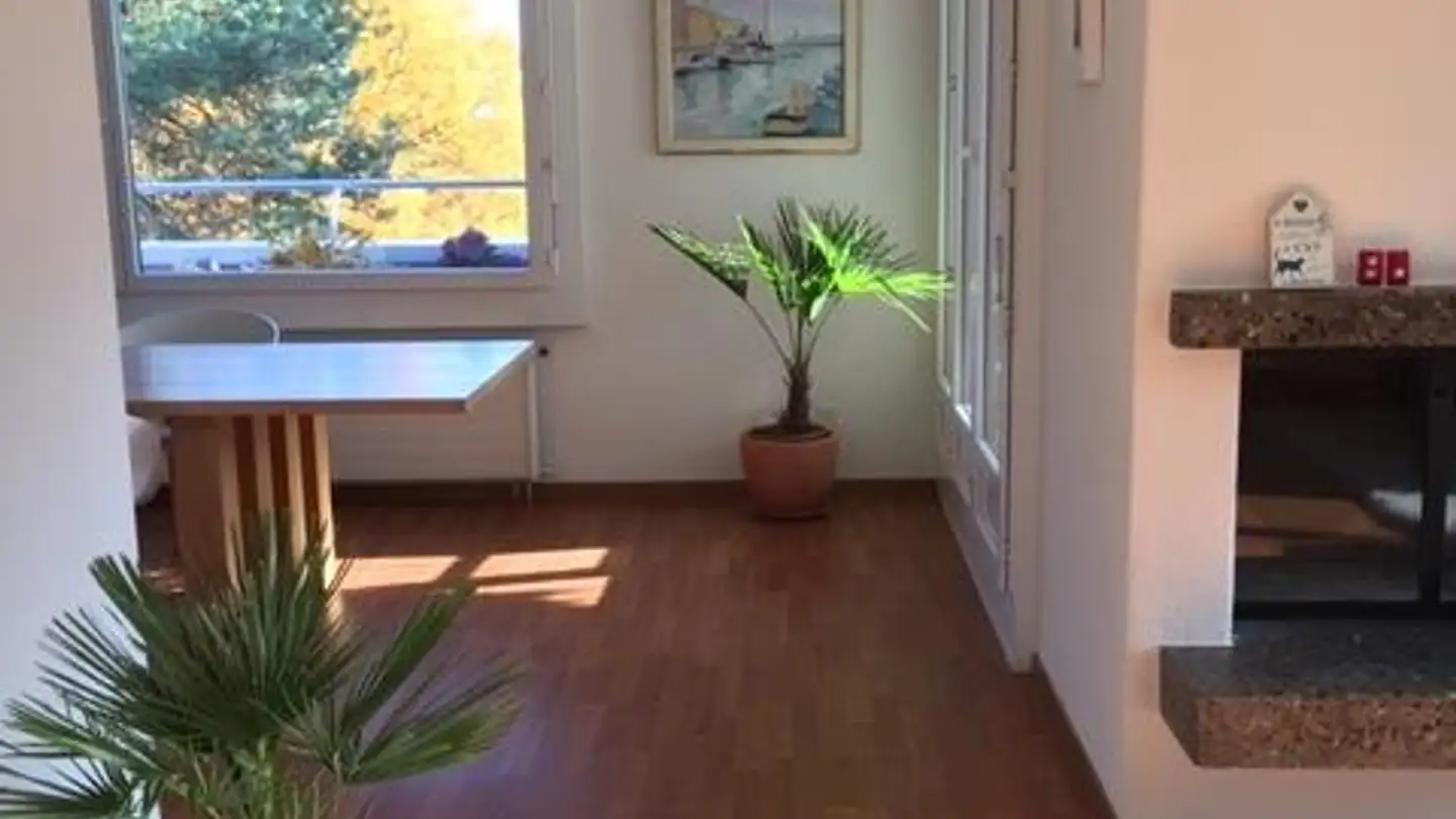 Apartment for rent - Twäracherstrasse 1, 8118 Pfaffhausen - Photo 3