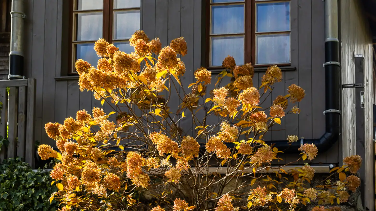 Casa singola in vendita - Zur Eich 212, 1656 Im Fang - Foto 3