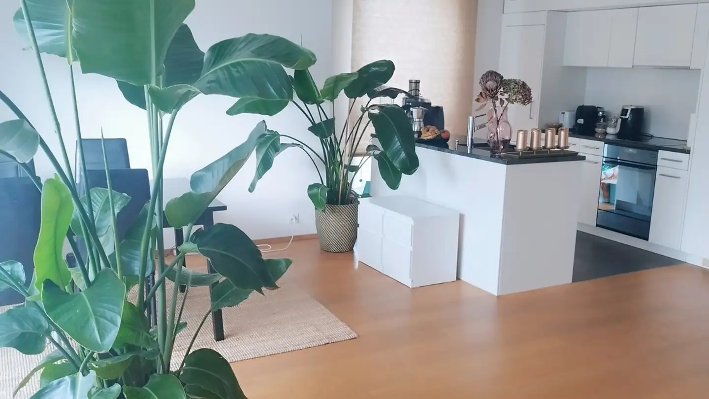 Single room for rent - 8426 Lufingen - Photo 4