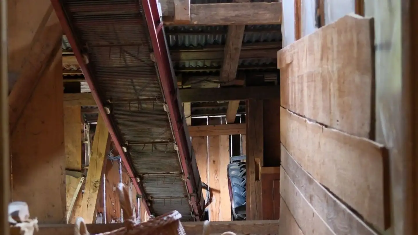 Einfamilienhaus kaufen - Brünigen, 3860 Meiringen
