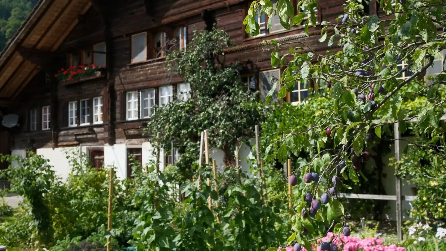 Einfamilienhaus kaufen - Brünigen, 3860 Meiringen - Foto 2