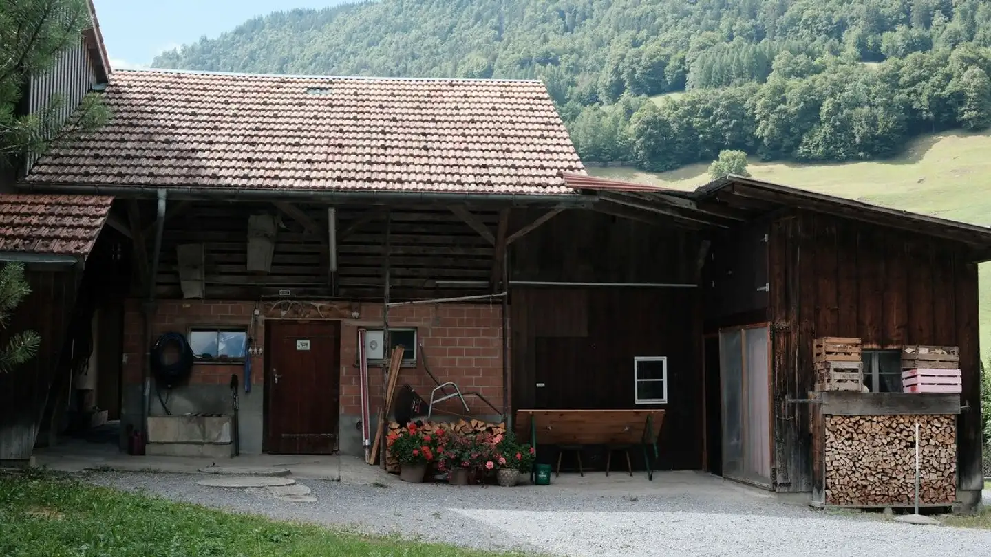 Einfamilienhaus kaufen - Brünigen, 3860 Meiringen - Foto 4