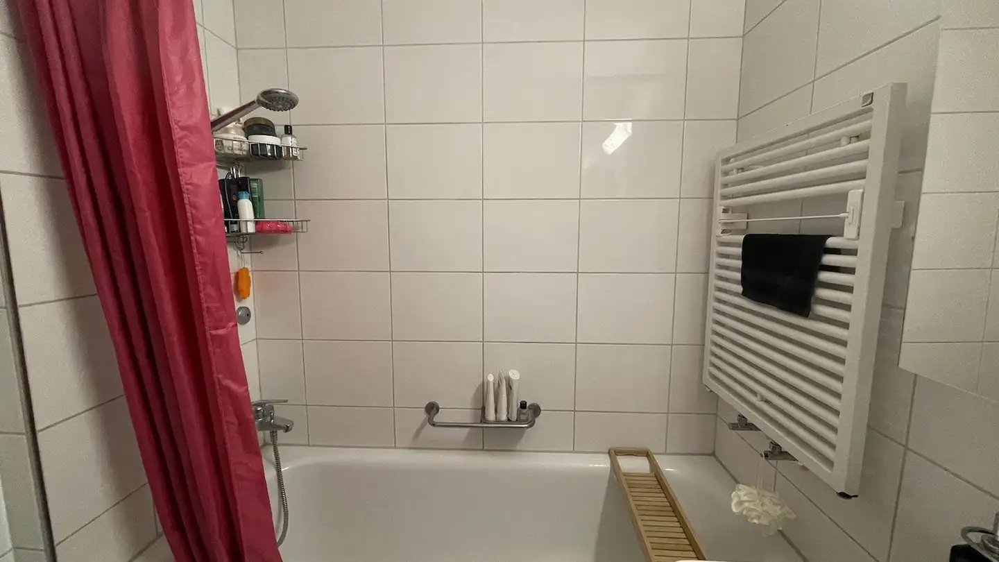 Chambre à louer - Rebackerstrasse 7, 8810 Horgen - Photo 3