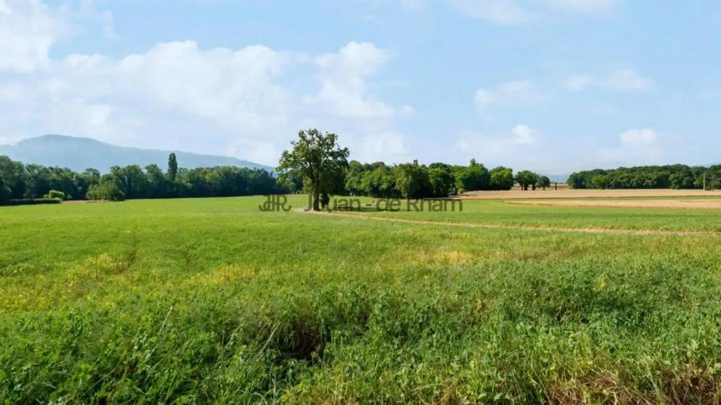 Villa for sale - 1245 Collonge-Bellerive
