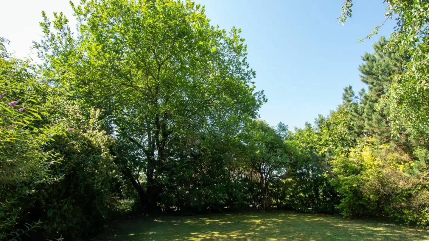 Maison individuelle à vendre - Seestrandweg, 3235 Erlach - Photo 4
