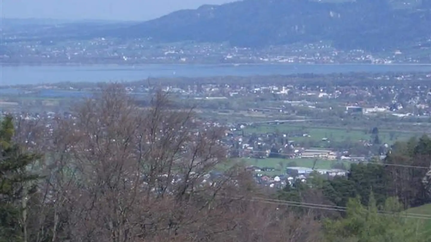 Casa singola in affitto - Wilen 388, 9428 Walzenhausen - Photo 3