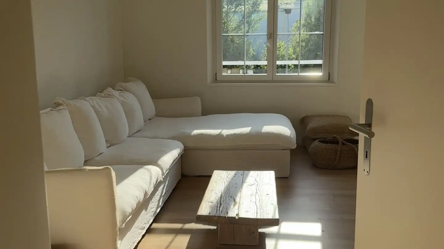 Chambre à louer - 8134 Adliswil