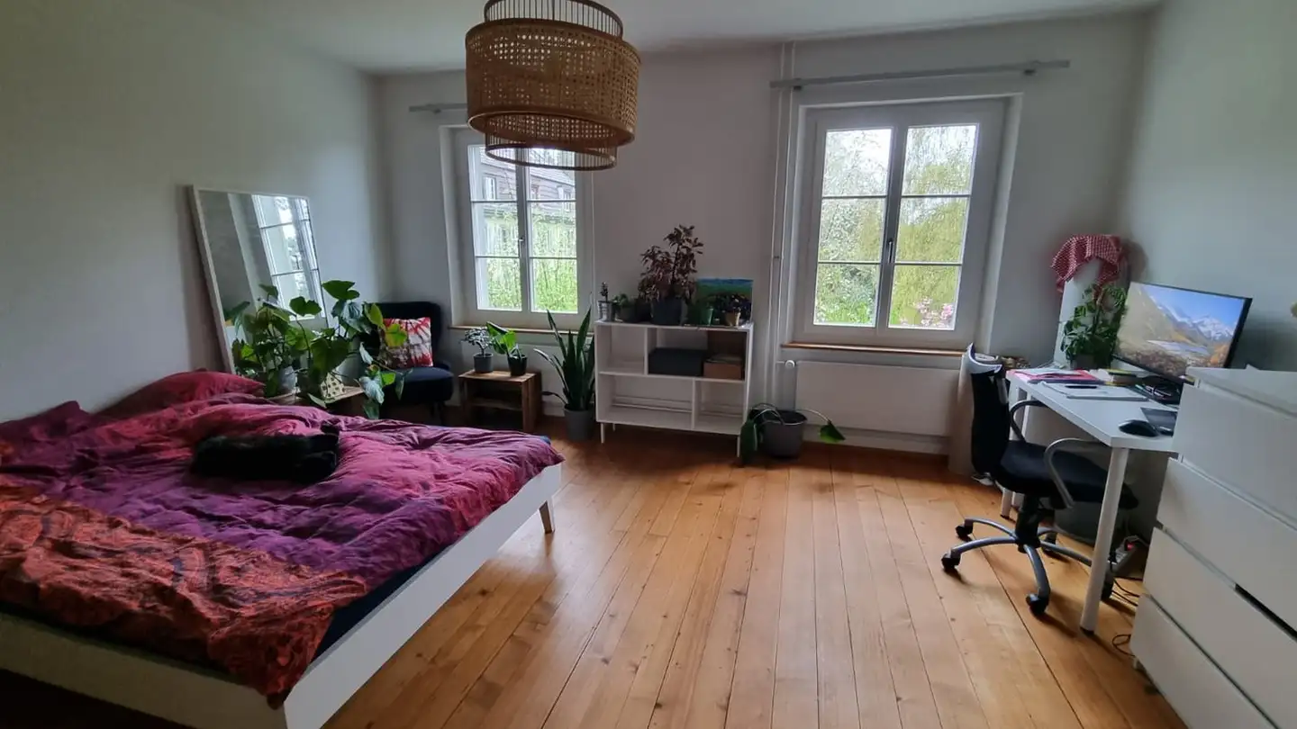 Stanza singola in affitto - 8008 Zürich