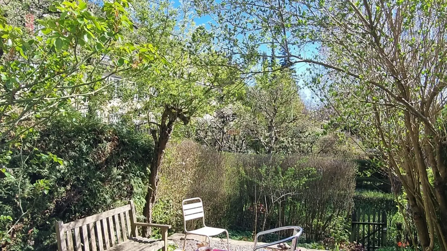 Stanza singola in affitto - 8008 Zürich - Foto 2