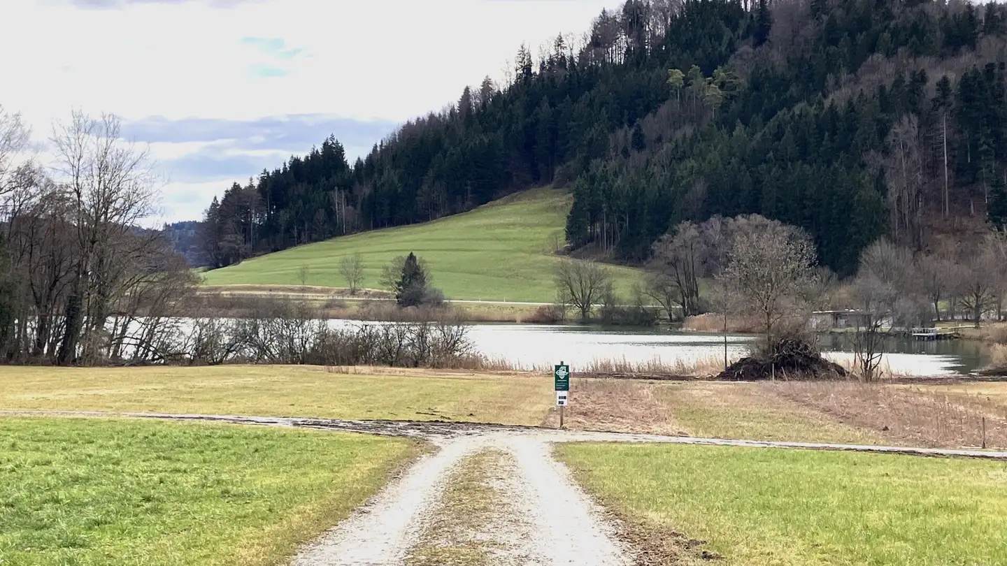 Ferme à vendre - Seelmatten 821, 8488 Turbenthal