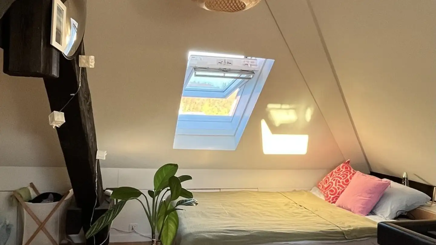 Single room for rent - Dammstrasse 9, 6003 Luzern