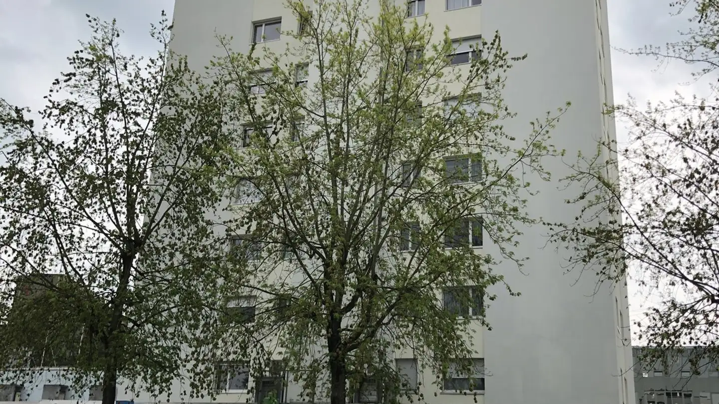 Wohnung mieten - Alte Bahnhofstrasse 1, 5610 Wohlen AG