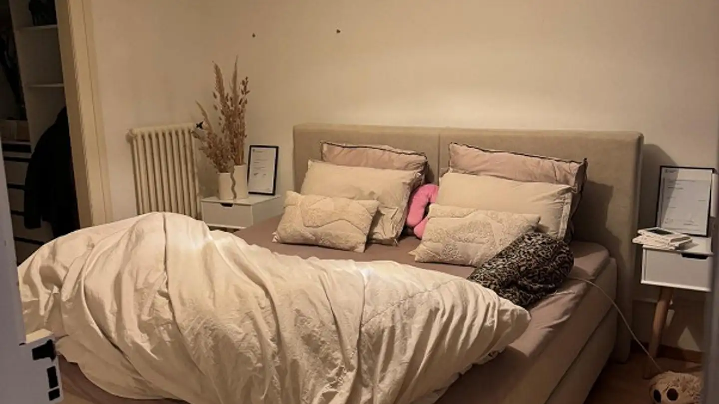 Appartamento in affitto - Unterstadt 29, 8200 Schaffhausen - Foto 2