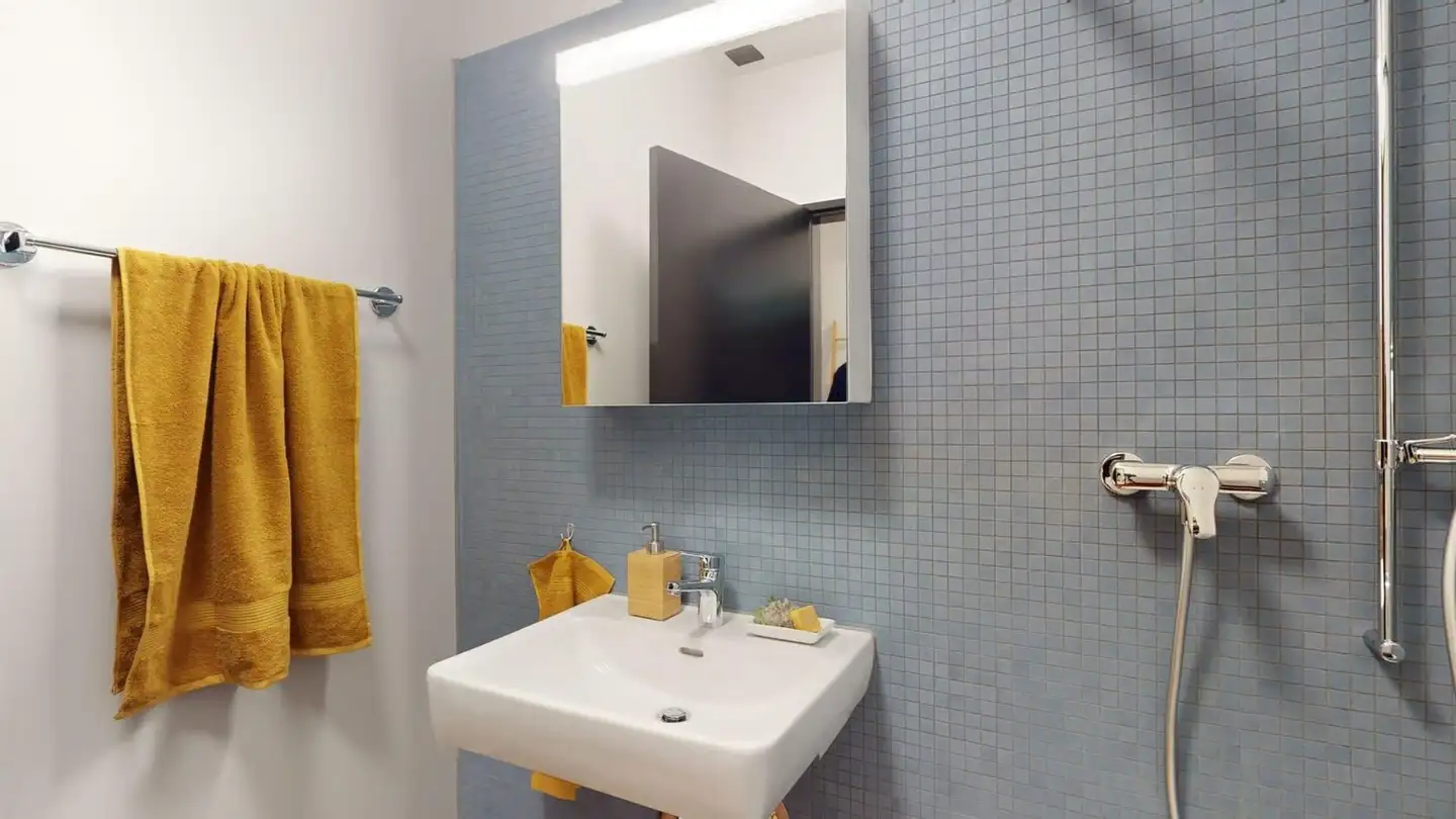 Appartement à louer - Freilagerstrasse, 8047 Zürich - Photo 4
