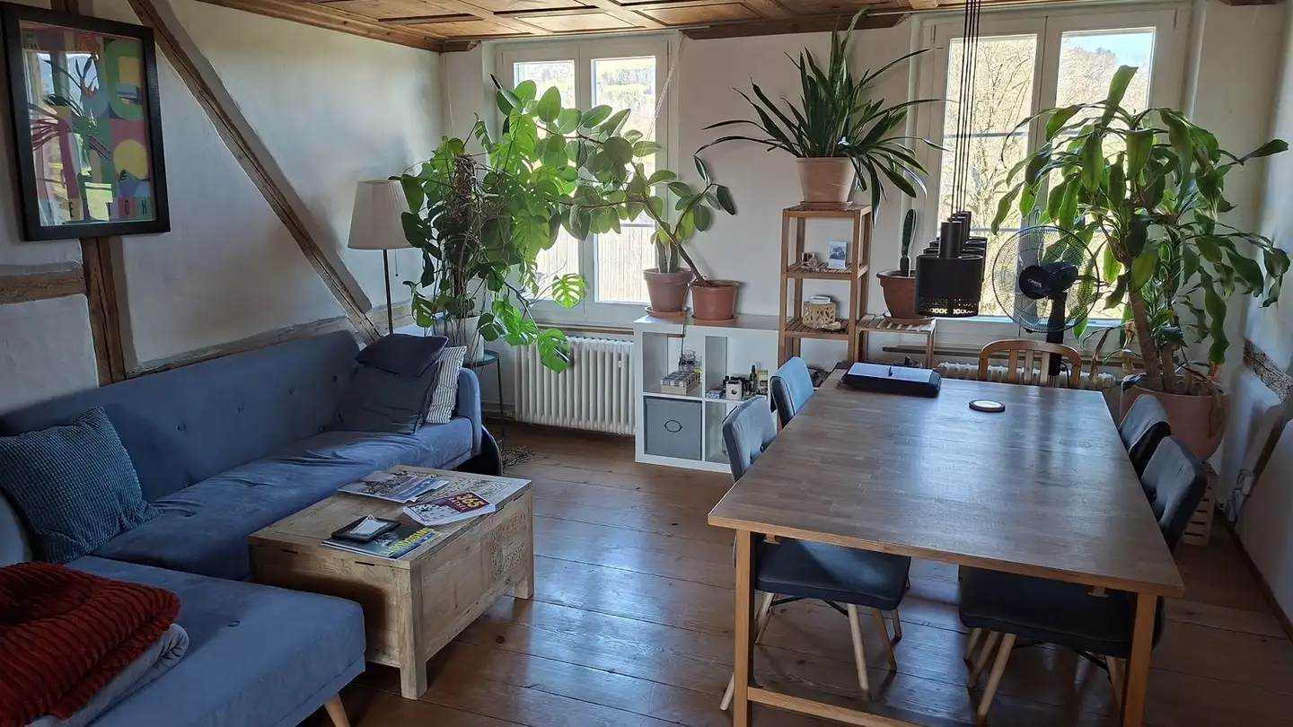 Appartamento in affitto - Lochstrasse 1, 8340 Hinwil