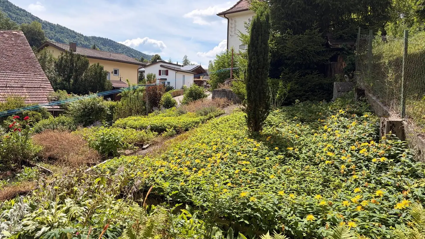 Einfamilienhaus kaufen - Fluhgasse 2, 4207 Bretzwil - Foto 4