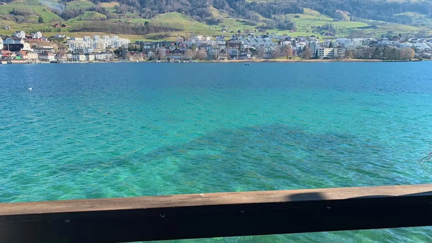 Wohnung mieten - Luzernerstrasse 43, 6403 Küssnacht am Rigi